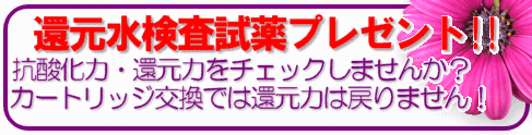 �d���Ҍ�����������v���[���g
