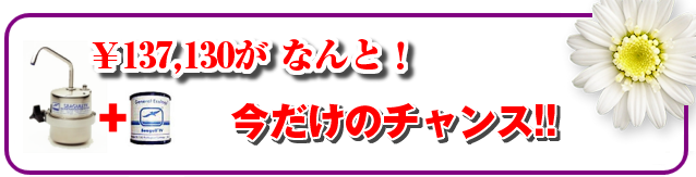 137,130円がなんと!今だけのチャンス!!