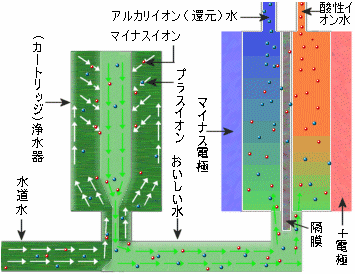 電気分解で生成される電解還元水の様子